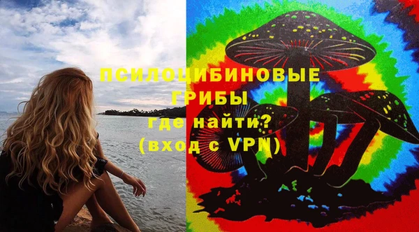 apvp Снежинск