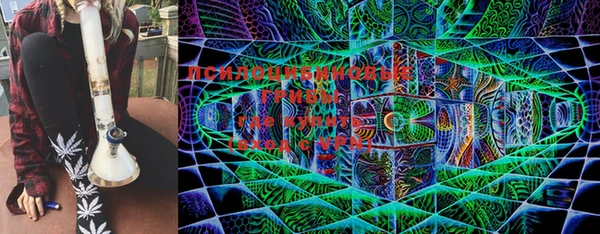 кокс Баксан