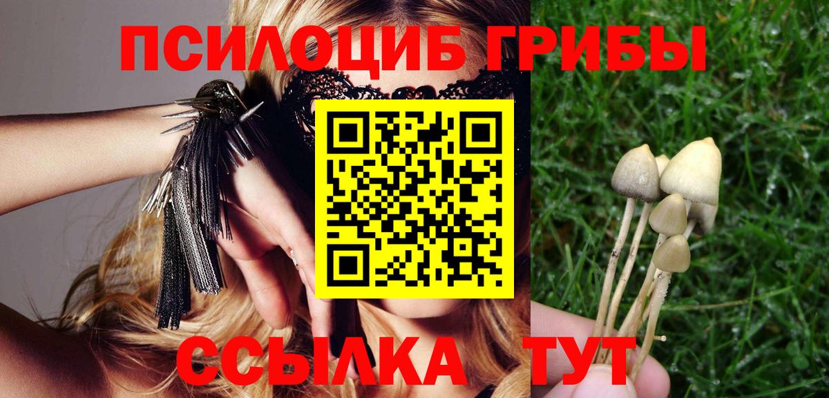 Псилоцибиновые грибы Cubensis  Вход с VPN  Губаха 