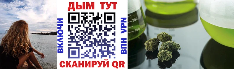 купить  сайты  Губаха  Конопля ГИДРОПОН 
