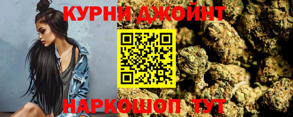 Каннабис SATIVA & INDICA Губаха